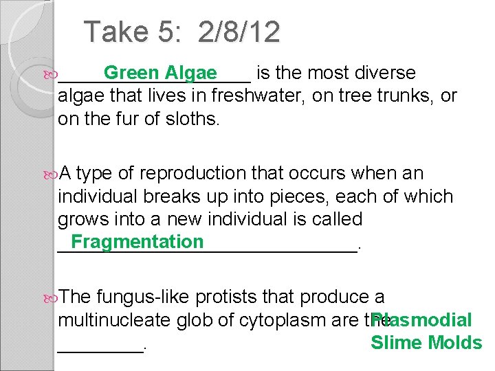 Take 5: 2/8/12 Green Algae _________ is the most diverse algae that lives in