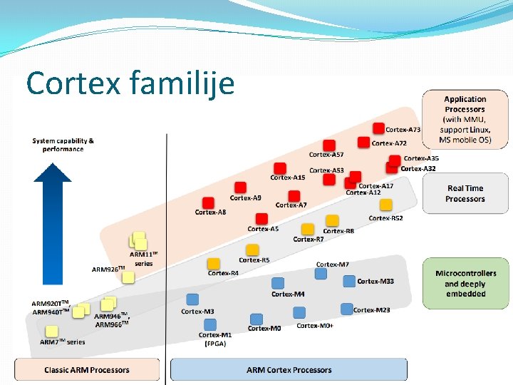 Cortex familije Cortex familije