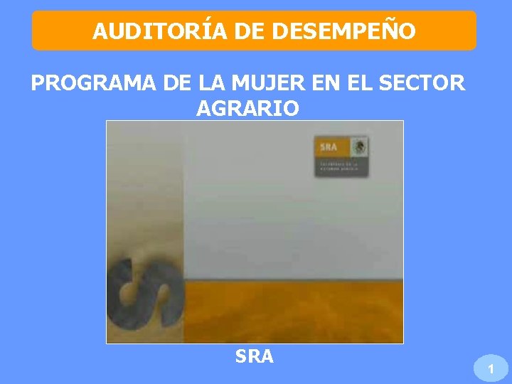 AUDITORA DE DESEMPEO PROGRAMA DE LA MUJER EN