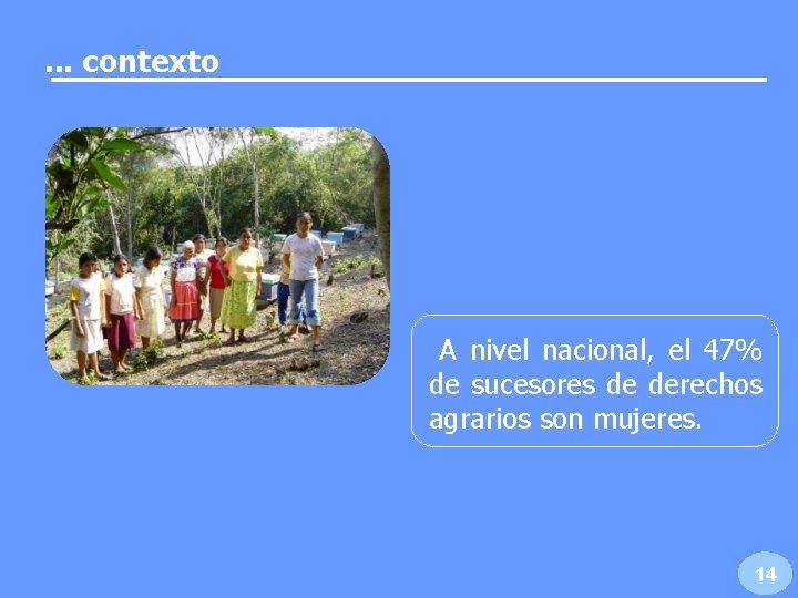 . . . contexto A nivel nacional, el 47% de sucesores de derechos agrarios . . . contexto A nivel nacional, el 47% de sucesores de derechos agrarios