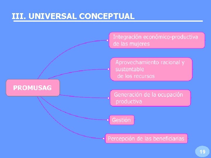 III. UNIVERSAL CONCEPTUAL 19 III. UNIVERSAL CONCEPTUAL 19