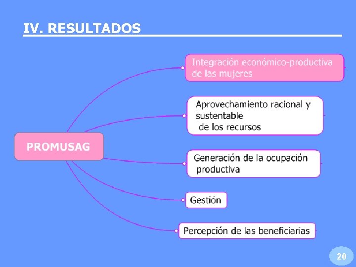 IV. RESULTADOS 20 IV. RESULTADOS 20