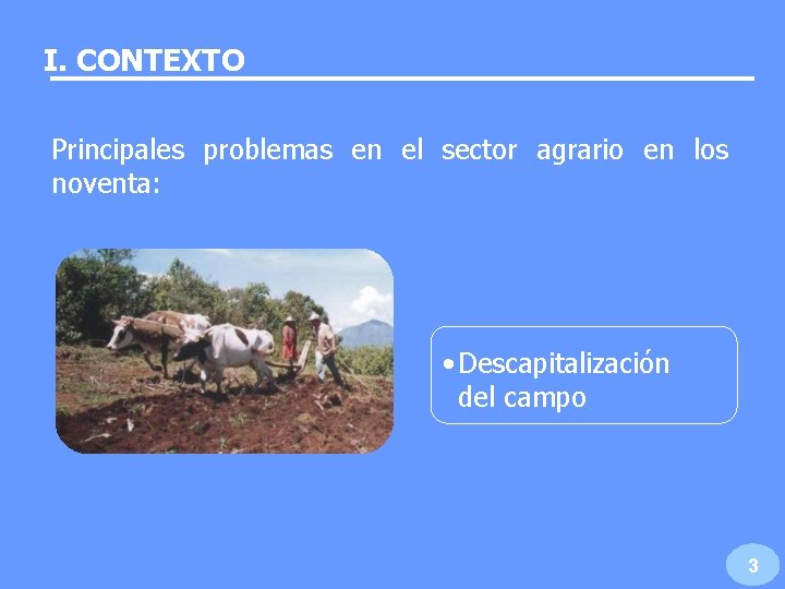 I. CONTEXTO Principales problemas en el sector agrario en los noventa: • Descapitalización del I. CONTEXTO Principales problemas en el sector agrario en los noventa: • Descapitalización del