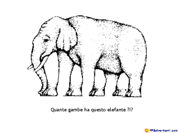 Quante gambe ha questo elefante ? !? 