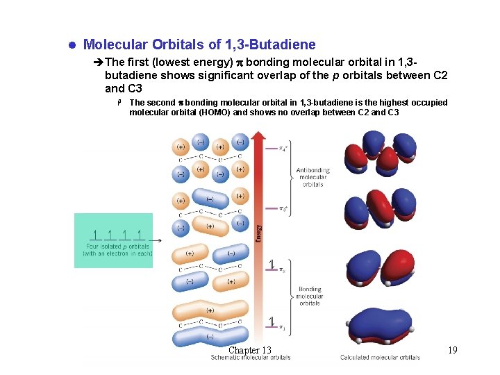 l Molecular Orbitals of 1, 3 -Butadiene èThe first (lowest energy) p bonding molecular l Molecular Orbitals of 1, 3 -Butadiene èThe first (lowest energy) p bonding molecular