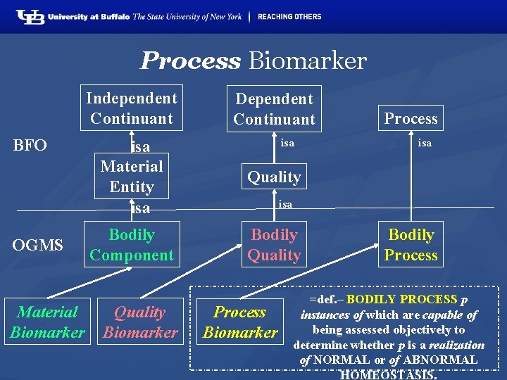 Process Biomarker Independent Continuant BFO OGMS Material Biomarker Dependent Continuant isa Material Entity isa