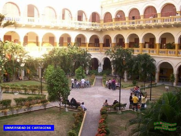 UNIVERSIDAD DE CARTAGENA 