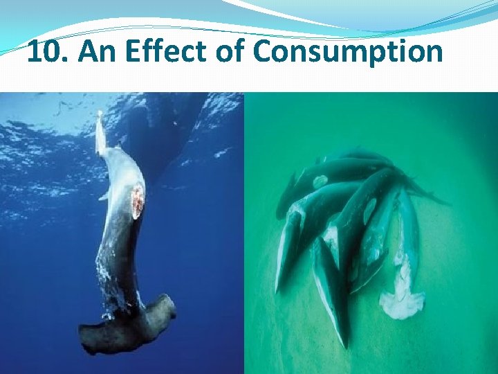 10. An Effect of Consumption 