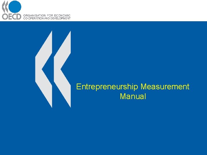 Entrepreneurship Measurement Manual 