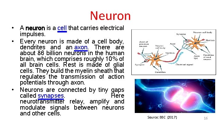Neuron • A neuron is a cell that carries electrical impulses. • Every neuron