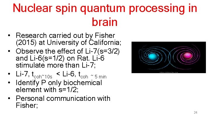 Nuclear spin quantum processing in brain • Research carried out by Fisher (2015) at