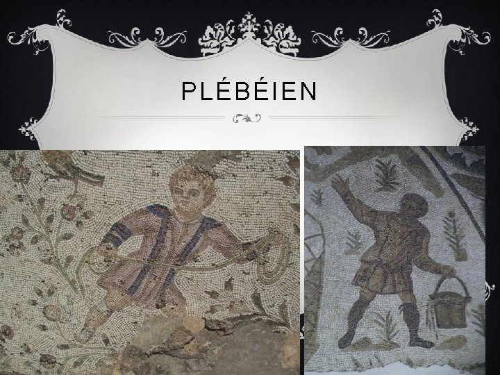 PLÉBÉIEN 