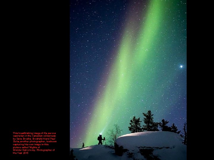 This breathtaking image of the aurora was taken in the Canadian wilderness by Dave
