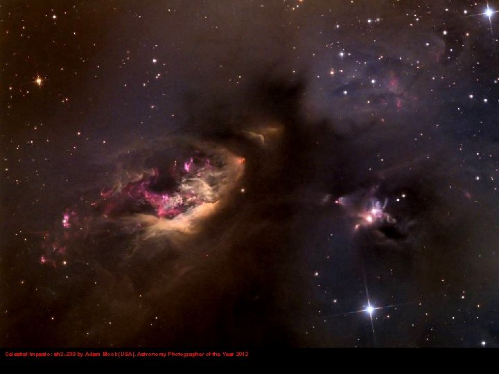 Celestial Impasto: sh 2– 239 by Adam Block (USA). Astronomy Photographer of the Year
