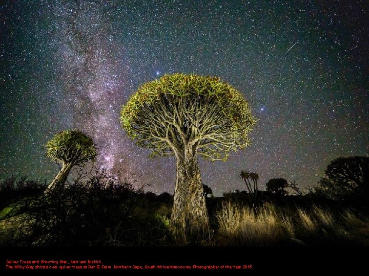 Quiver Trees and Shooting Star, Ivan Niekirk. The Milky Way shines over quiver trees