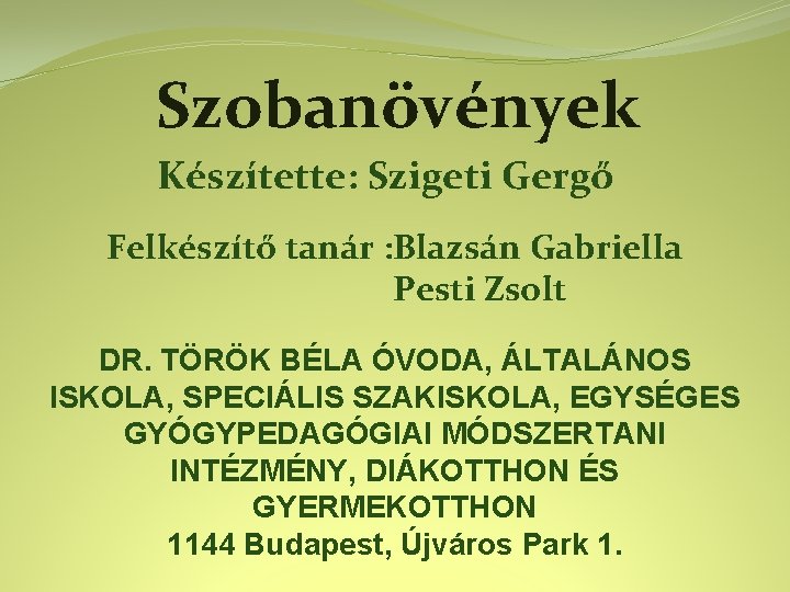 Szobanövények Készítette: Szigeti Gergő Felkészítő tanár : Blazsán Gabriella Pesti Zsolt DR. TÖRÖK BÉLA