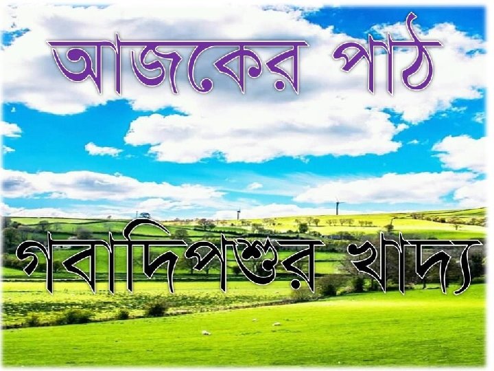 V Mz Wkk Cwiw Pw Z Gvt Rvw