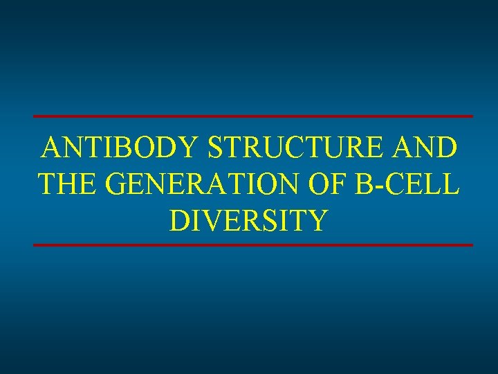ANTIBODY STRUCTURE AND THE GENERATION OF B-CELL DIVERSITY 