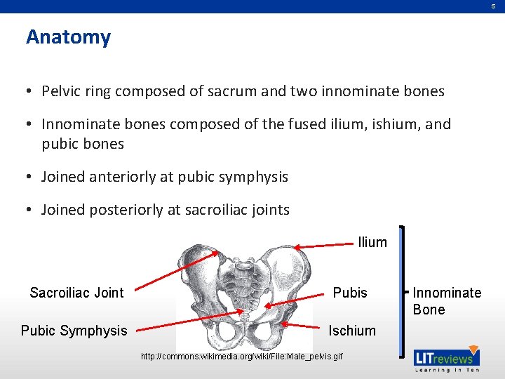 5 Anatomy • Pelvic ring composed of sacrum and two innominate bones • Innominate 5 Anatomy • Pelvic ring composed of sacrum and two innominate bones • Innominate