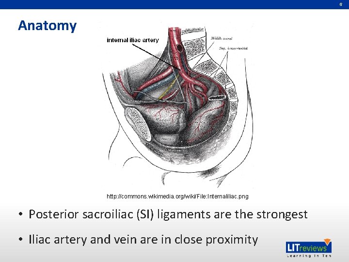 6 Anatomy http: //commons. wikimedia. org/wiki/File: Internaliliac. png • Posterior sacroiliac (SI) ligaments are 6 Anatomy http: //commons. wikimedia. org/wiki/File: Internaliliac. png • Posterior sacroiliac (SI) ligaments are
