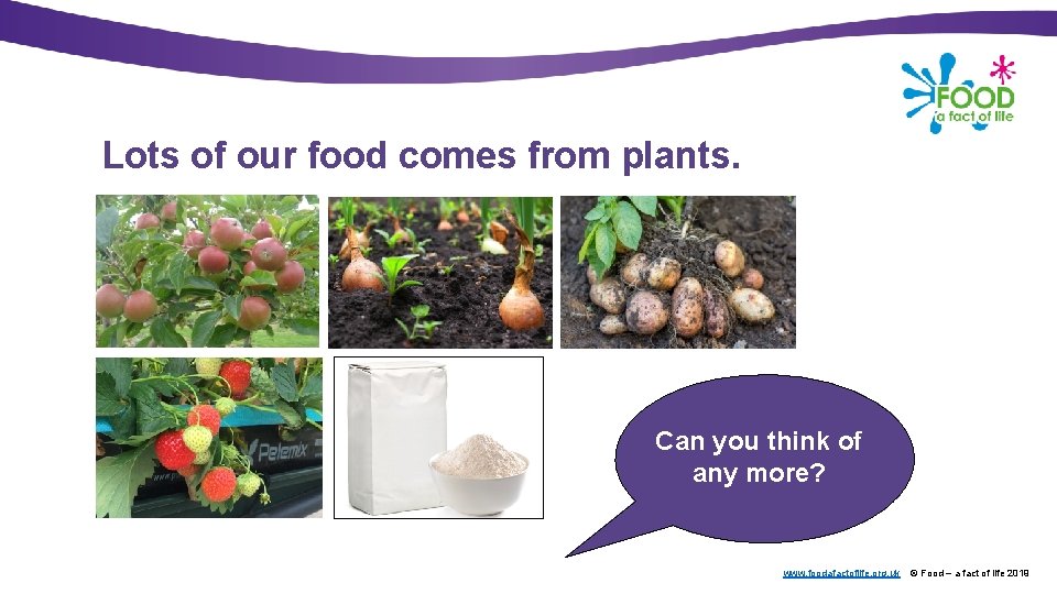 Lots of our food comes from plants. Can you think of any more? www.