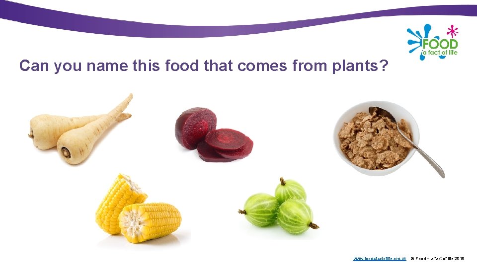 Can you name this food that comes from plants? www. foodafactoflife. org. uk ©