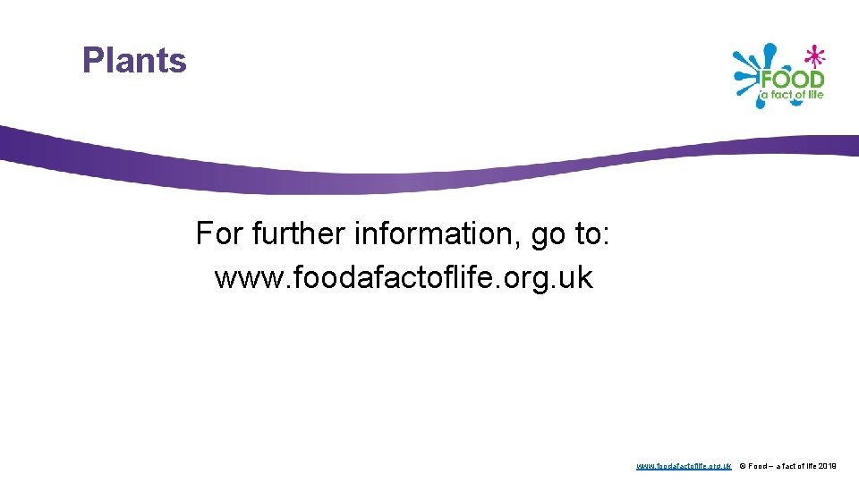 Plants For further information, go to: www. foodafactoflife. org. uk © Food – a
