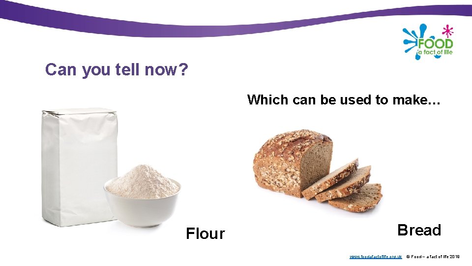 Can you tell now? Which can be used to make… Flour Bread www. foodafactoflife.