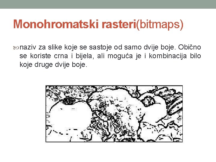 Monohromatski rasteri(bitmaps) naziv za slike koje se sastoje od samo dvije boje. Obično se