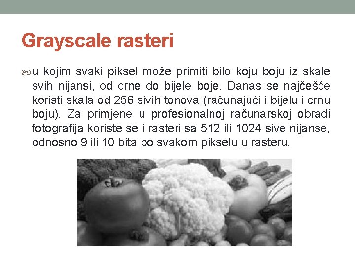 Grayscale rasteri u kojim svaki piksel može primiti bilo koju boju iz skale svih