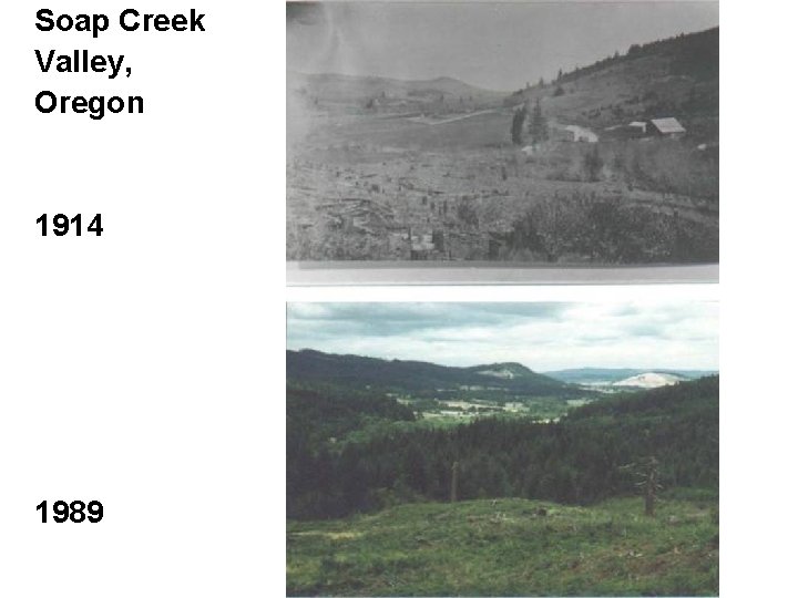 Soap Creek Valley, Oregon 1914 1989 Soap Creek Valley, Oregon 1914 1989