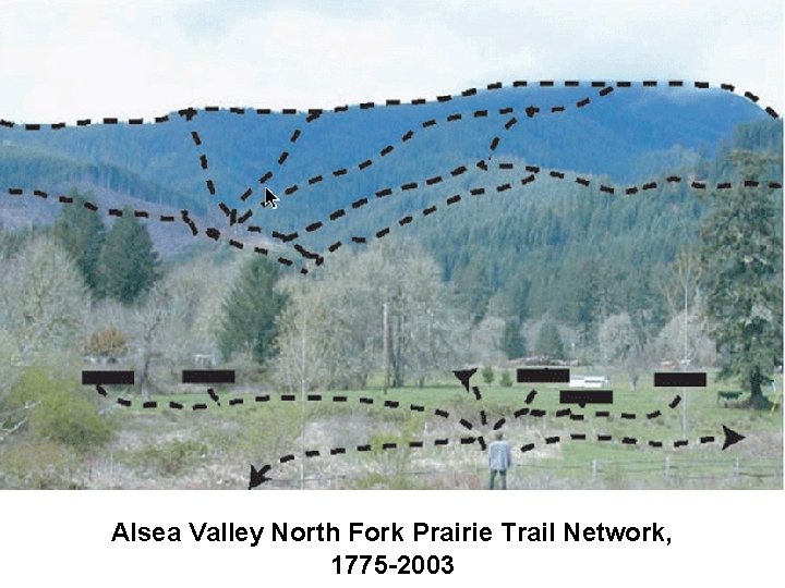 Alsea Valley North Fork Prairie Trail Network, 1775 -2003 Alsea Valley North Fork Prairie Trail Network, 1775 -2003