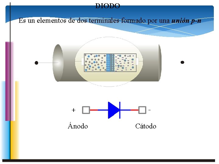 DIODO Es un elementos de dos terminales formado por una unión p-n + Ánodo