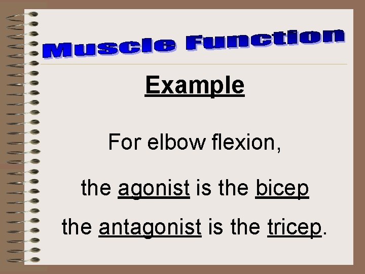 Example For elbow flexion, the agonist is the bicep the antagonist is the tricep.