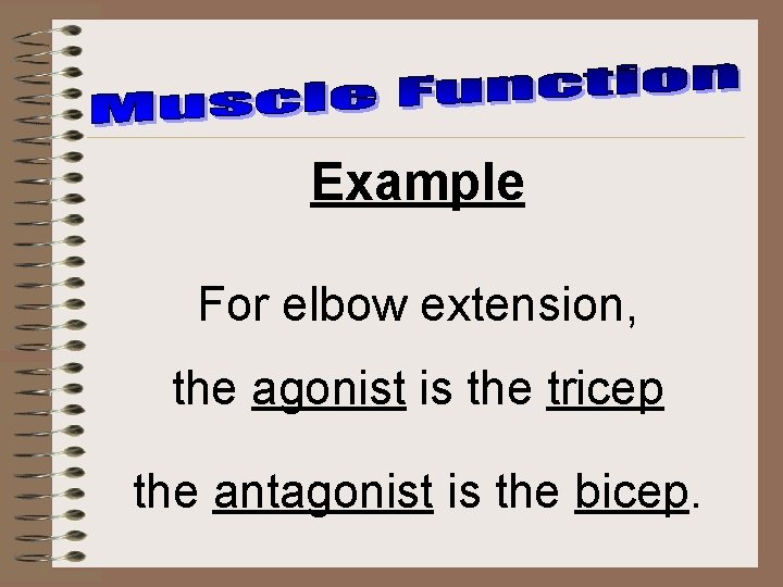 Example For elbow extension, the agonist is the tricep the antagonist is the bicep.