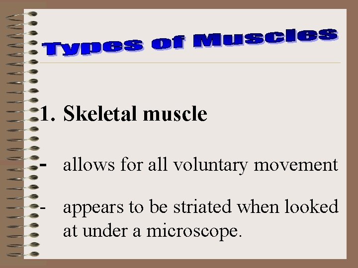 1. Skeletal muscle - allows for all voluntary movement - appears to be striated