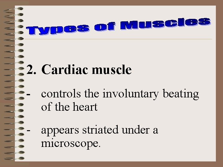 2. Cardiac muscle - controls the involuntary beating of the heart - appears striated