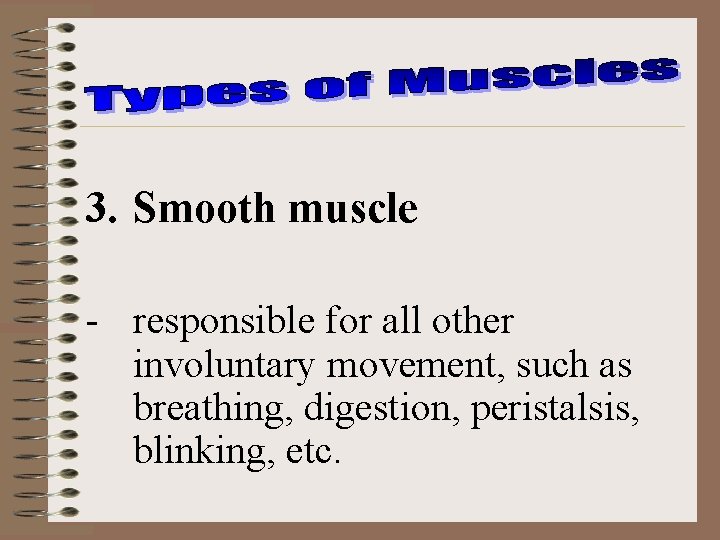 3. Smooth muscle - responsible for all other involuntary movement, such as breathing, digestion,