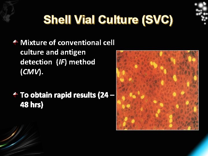 Shell Vial Culture (SVC) Mixture of conventional cell culture and antigen detection (IF) method