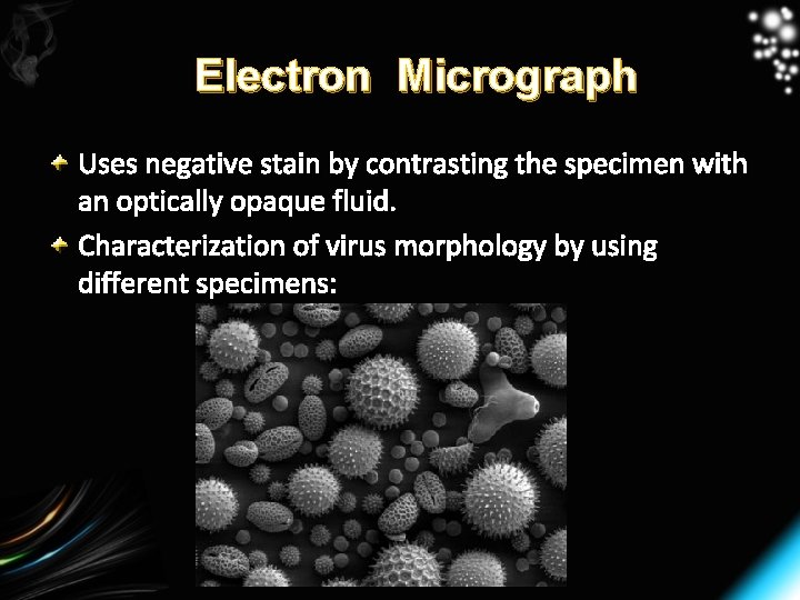 Electron Micrograph Uses negative stain by contrasting the specimen with an optically opaque fluid.