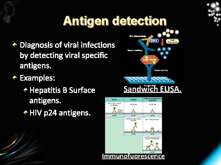 Antigen detection Diagnosis of viral infections by detecting viral specific antigens. Examples: Sandwich ELISA.