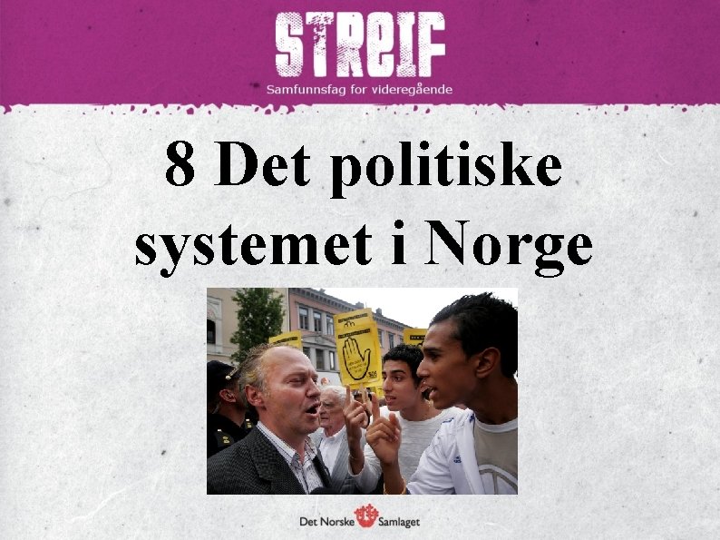 8 Det politiske systemet i Norge 