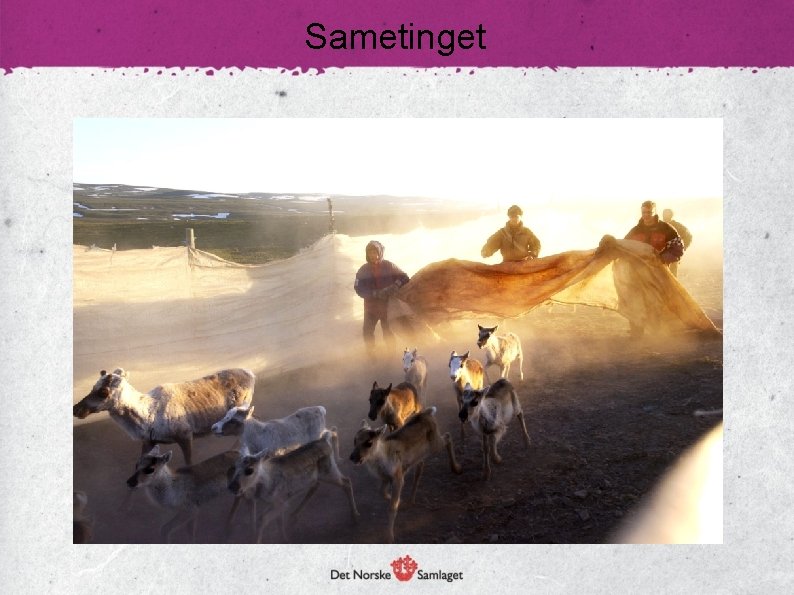 Sametinget 