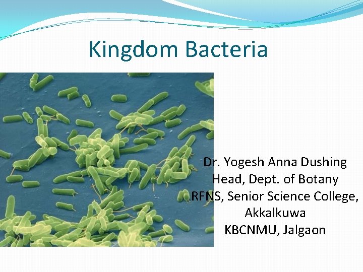 Kingdom Bacteria Dr. Yogesh Anna Dushing Head, Dept. of Botany RFNS, Senior Science College,