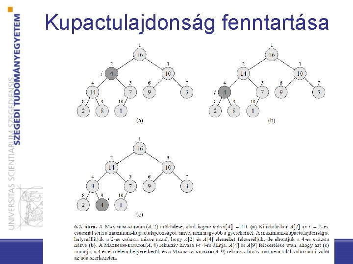 Kupactulajdonság fenntartása 