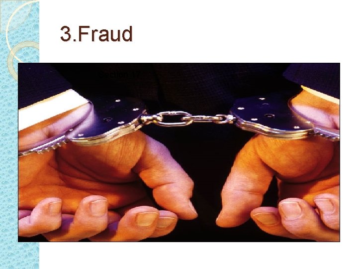 3. Fraud Section 17 