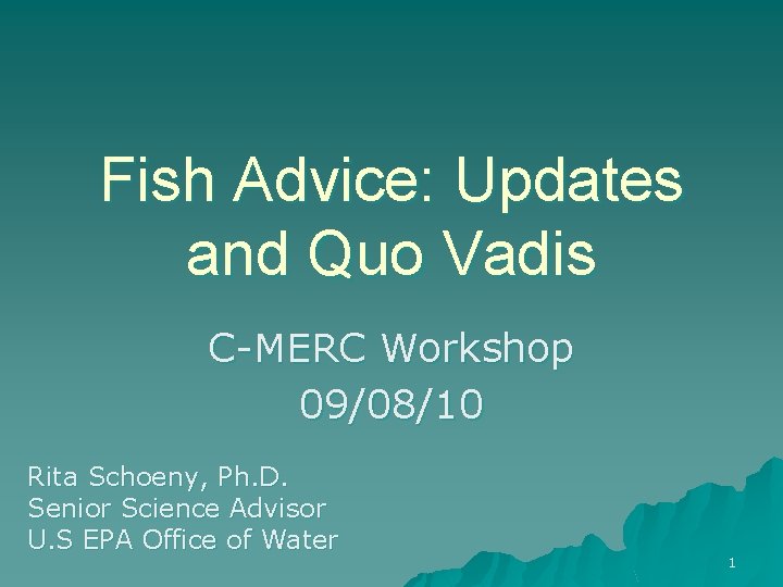 Fish Advice: Updates and Quo Vadis C-MERC Workshop 09/08/10 Rita Schoeny, Ph. D. Senior