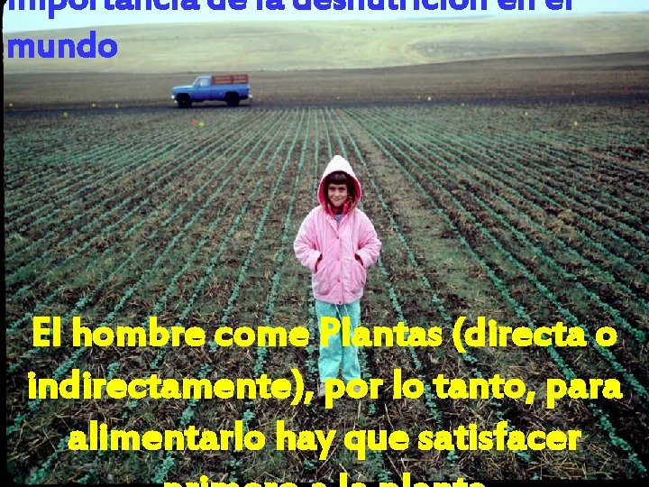 Importancia de la desnutrición en el mundo El hombre come Plantas (directa o indirectamente),