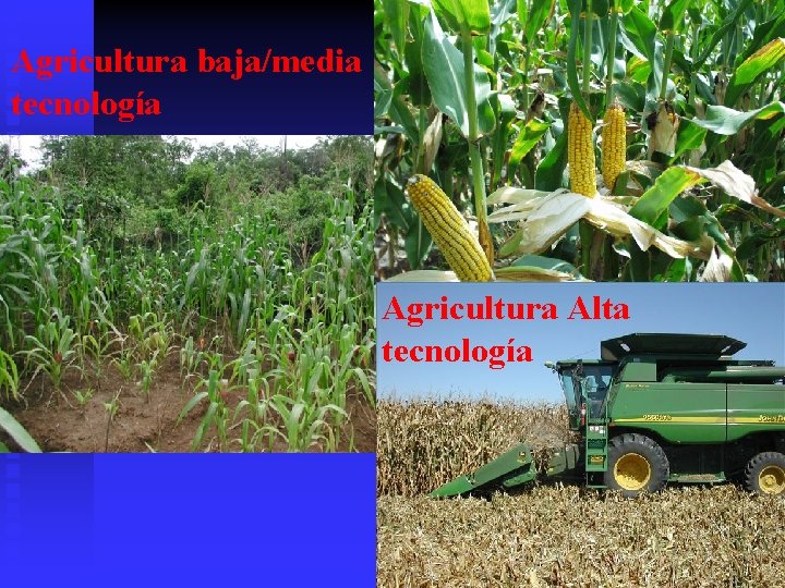 Agricultura baja/media tecnología Agricultura Alta tecnología 