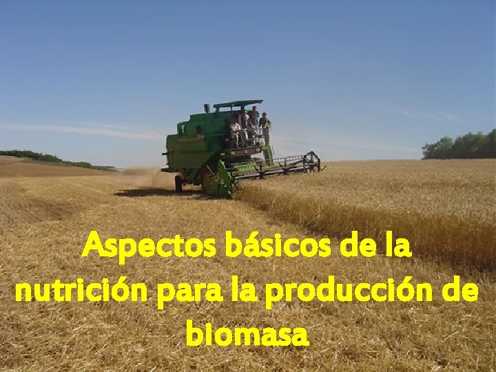 Aspectos básicos de la nutrición para la producción de biomasa 